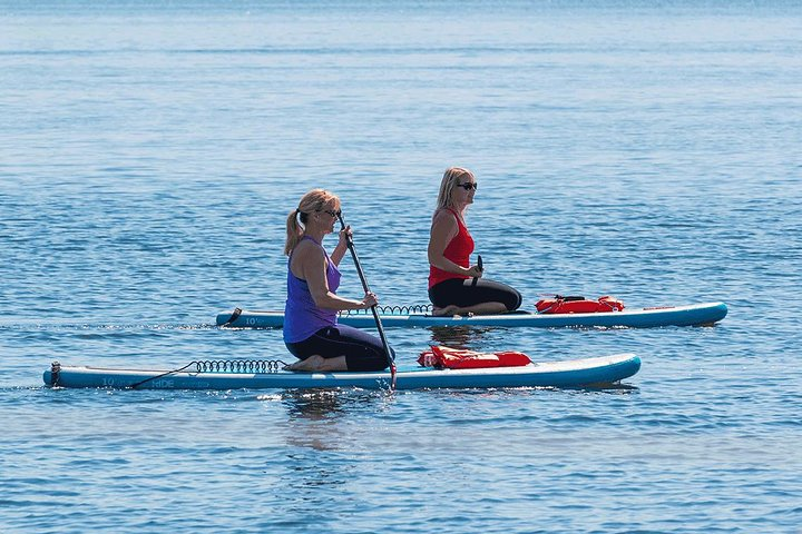 Paddleboard in Daytona Beach